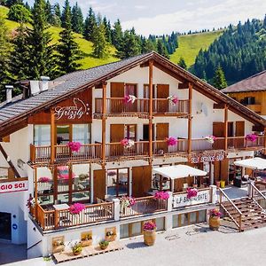 Hotel Grizzly